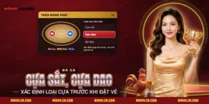 Đá gà cựa sắt cựa dao Winvn trên màn trận với sới, ba cửa cược và lựa chọn loại cựa