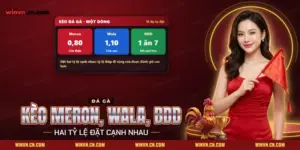 Kèo đá gà Meron Wala BDD Winvn với tỷ lệ của từng cửa đặt cạnh nhau và cửa hòa BDD